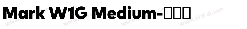 Mark W1G Medium字体转换